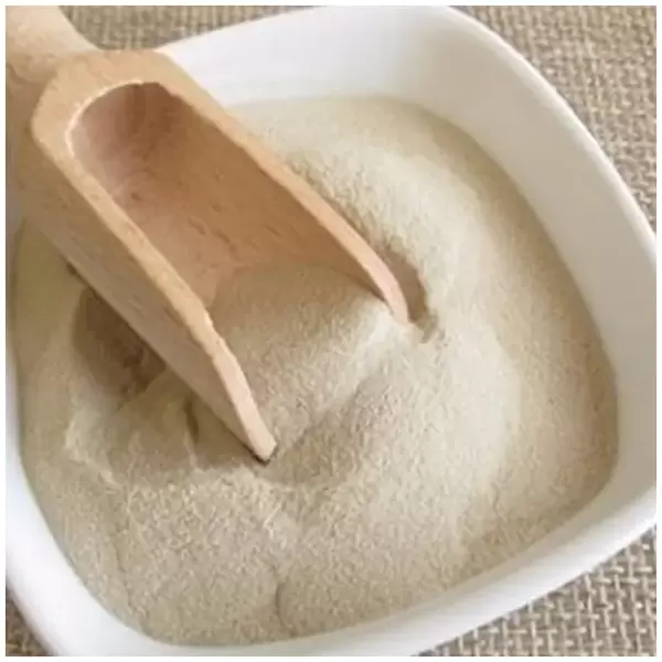 Agar- Agar